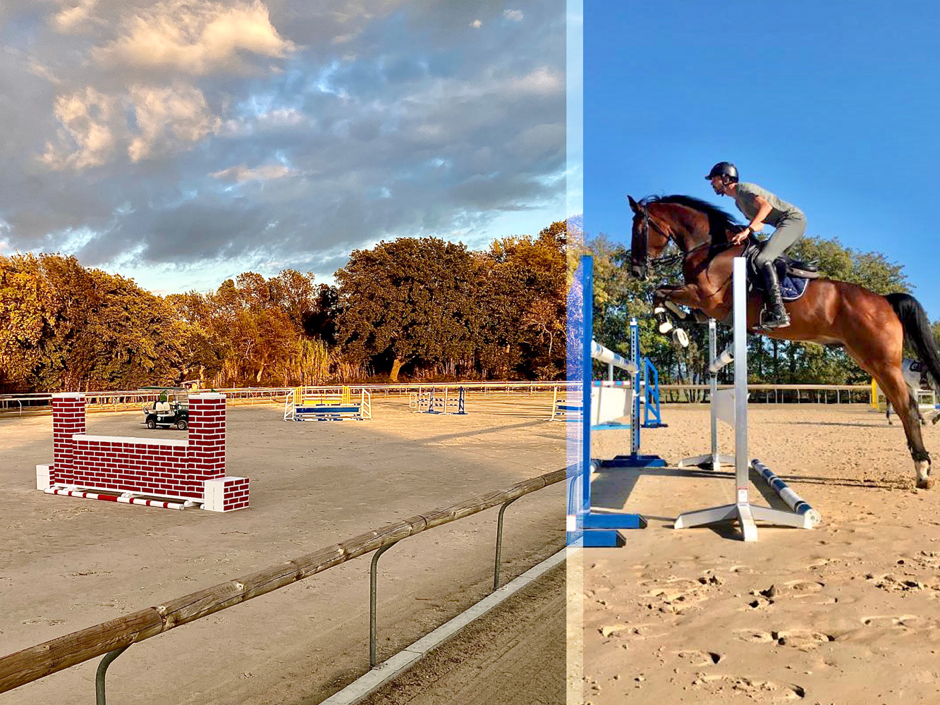 Jumping & Dressage Clinic