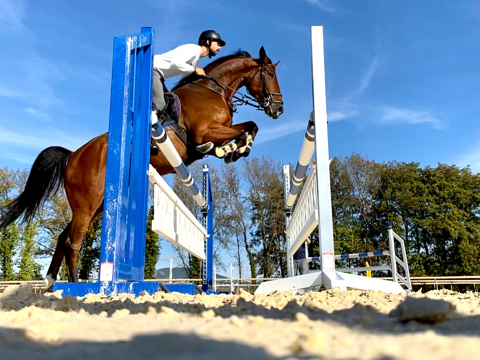 Jumping & Dressage Clinic