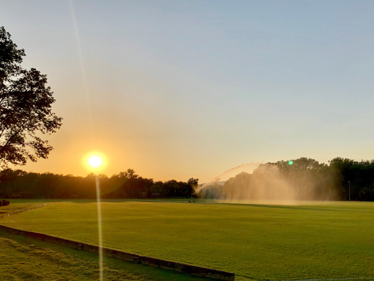 4 FIELDS IN TIFTON