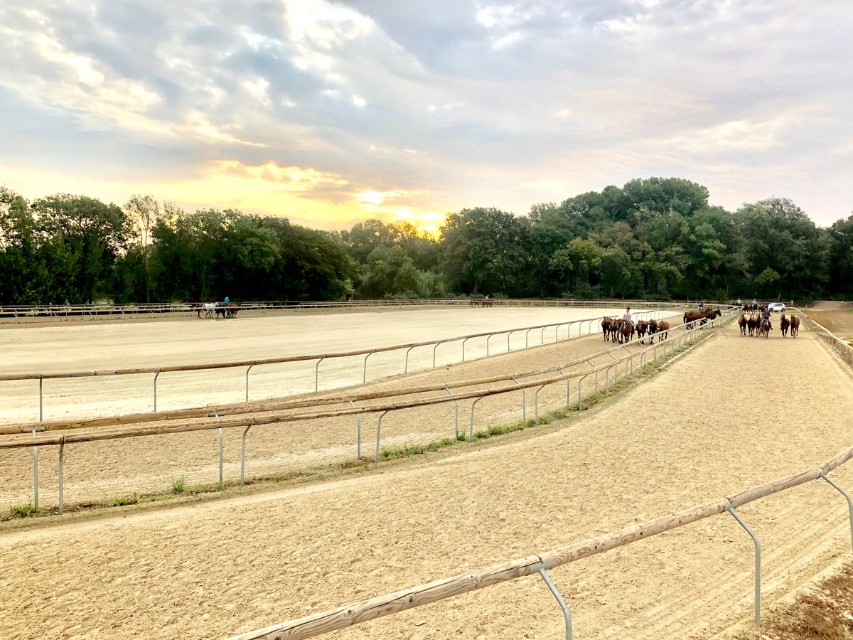 Ideal structures for horse and player training