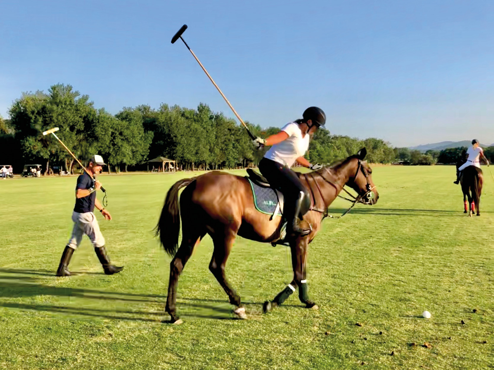 Polo School 